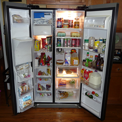 Frigidaire  Gallery Refrigerator