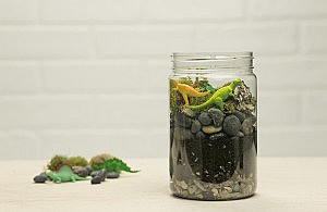Dinosaur Terrarium Grow Jar